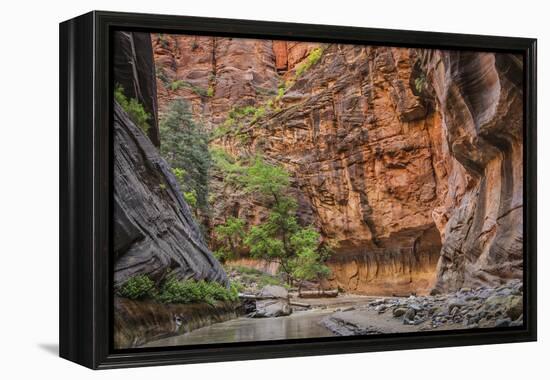 USA, Utah, Zion Narrows-John Ford-Framed Premier Image Canvas