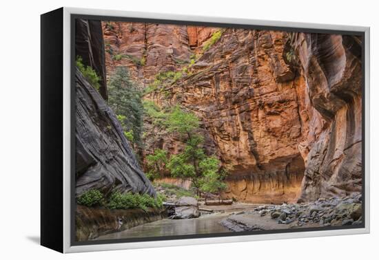 USA, Utah, Zion Narrows-John Ford-Framed Premier Image Canvas