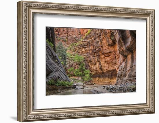 USA, Utah, Zion Narrows-John Ford-Framed Photographic Print