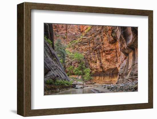 USA, Utah, Zion Narrows-John Ford-Framed Photographic Print