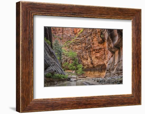 USA, Utah, Zion Narrows-John Ford-Framed Photographic Print