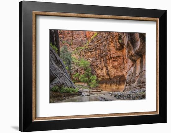 USA, Utah, Zion Narrows-John Ford-Framed Photographic Print