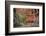 USA, Utah, Zion Narrows-John Ford-Framed Photographic Print