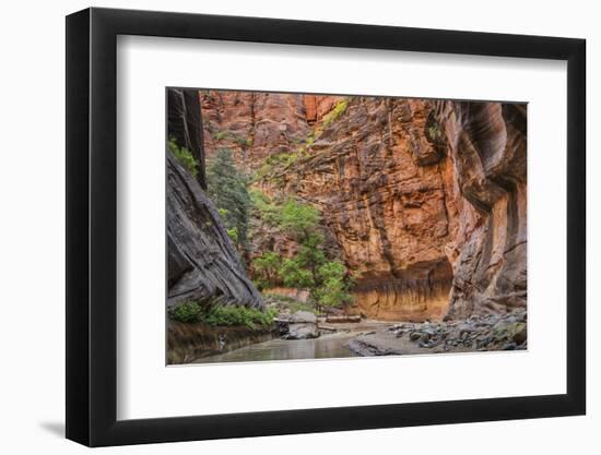 USA, Utah, Zion Narrows-John Ford-Framed Photographic Print