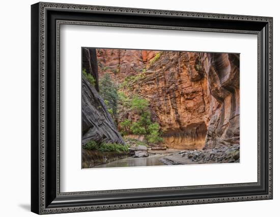 USA, Utah, Zion Narrows-John Ford-Framed Photographic Print