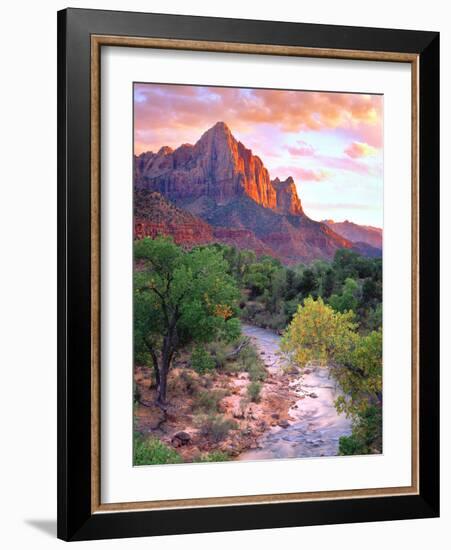 USA, Utah, Zion National Park at Sunset-Jaynes Gallery-Framed Photographic Print