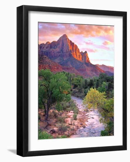 USA, Utah, Zion National Park at Sunset-Jaynes Gallery-Framed Photographic Print