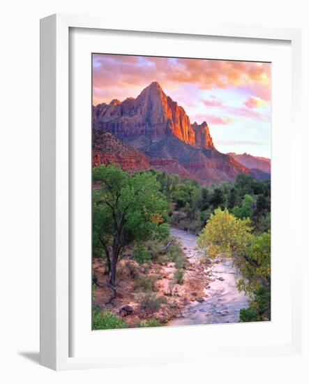 USA, Utah, Zion National Park at Sunset-Jaynes Gallery-Framed Photographic Print