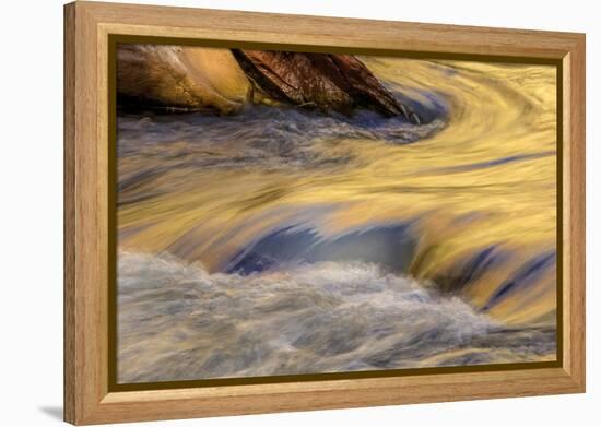 USA, Utah, Zion National Park. Autumn Reflections in Stream-Jay O'brien-Framed Premier Image Canvas