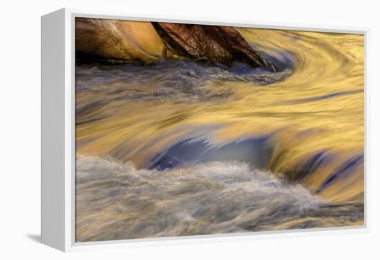 USA, Utah, Zion National Park. Autumn Reflections in Stream-Jay O'brien-Framed Premier Image Canvas