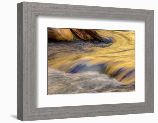 USA, Utah, Zion National Park. Autumn Reflections in Stream-Jay O'brien-Framed Photographic Print