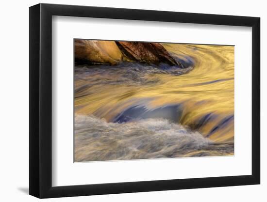 USA, Utah, Zion National Park. Autumn Reflections in Stream-Jay O'brien-Framed Photographic Print