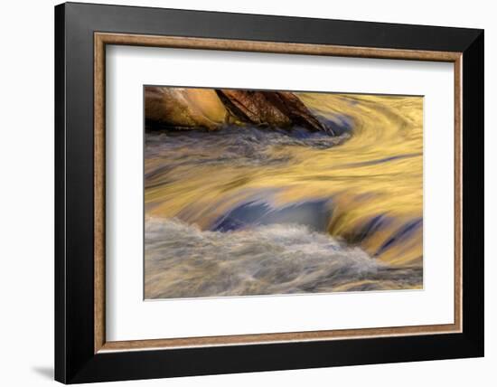 USA, Utah, Zion National Park. Autumn Reflections in Stream-Jay O'brien-Framed Photographic Print