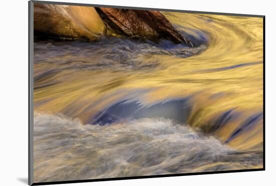 USA, Utah, Zion National Park. Autumn Reflections in Stream-Jay O'brien-Mounted Photographic Print