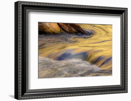 USA, Utah, Zion National Park. Autumn Reflections in Stream-Jay O'brien-Framed Photographic Print