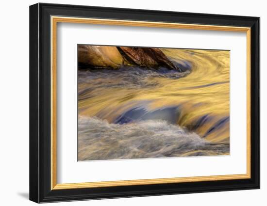 USA, Utah, Zion National Park. Autumn Reflections in Stream-Jay O'brien-Framed Photographic Print