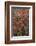 USA, Utah, Zion National Park. Autumn Scenic-Jay O'brien-Framed Photographic Print