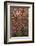 USA, Utah, Zion National Park. Autumn Scenic-Jay O'brien-Framed Photographic Print