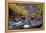 USA, Utah, Zion National Park. Canyon Waterfall with Cottonwood Trees-Jaynes Gallery-Framed Premier Image Canvas