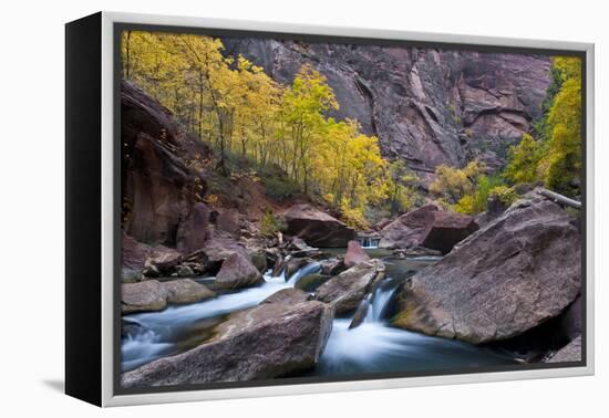 USA, Utah, Zion National Park. Canyon Waterfall with Cottonwood Trees-Jaynes Gallery-Framed Premier Image Canvas