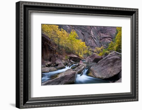 USA, Utah, Zion National Park. Canyon Waterfall with Cottonwood Trees-Jaynes Gallery-Framed Photographic Print