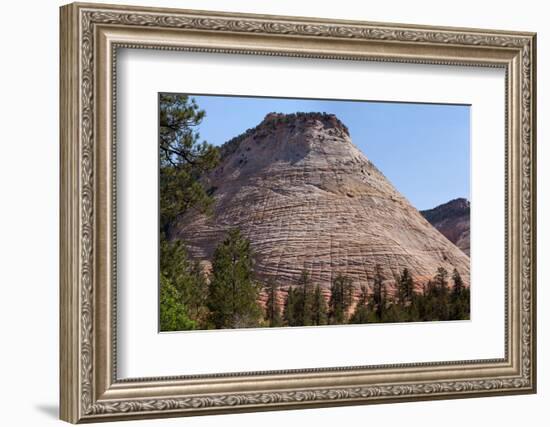 USA, Utah, Zion National Park, Checkerboard Mesa-Catharina Lux-Framed Photographic Print