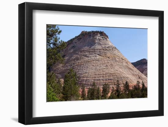 USA, Utah, Zion National Park, Checkerboard Mesa-Catharina Lux-Framed Photographic Print