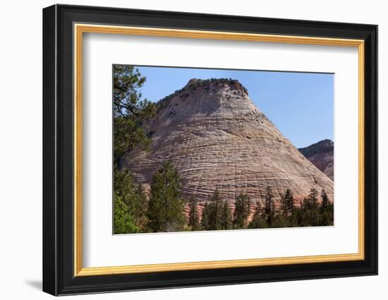 USA, Utah, Zion National Park, Checkerboard Mesa-Catharina Lux-Framed Photographic Print