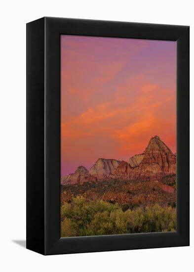 USA, Utah, Zion National Park. Mountain Landscape-Jay O'brien-Framed Premier Image Canvas