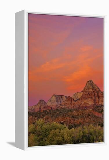 USA, Utah, Zion National Park. Mountain Landscape-Jay O'brien-Framed Premier Image Canvas