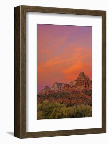 USA, Utah, Zion National Park. Mountain Landscape-Jay O'brien-Framed Photographic Print