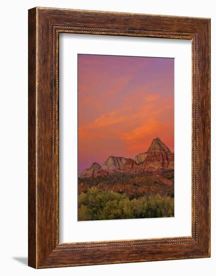 USA, Utah, Zion National Park. Mountain Landscape-Jay O'brien-Framed Photographic Print