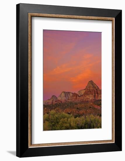 USA, Utah, Zion National Park. Mountain Landscape-Jay O'brien-Framed Photographic Print