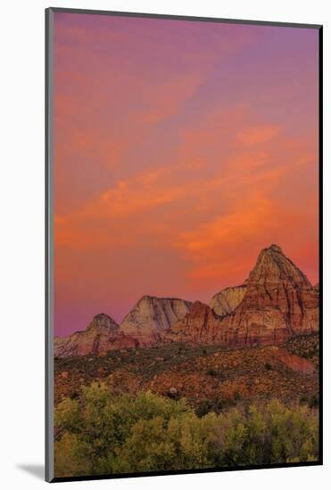 USA, Utah, Zion National Park. Mountain Landscape-Jay O'brien-Mounted Photographic Print