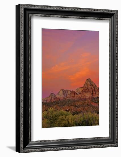 USA, Utah, Zion National Park. Mountain Landscape-Jay O'brien-Framed Photographic Print