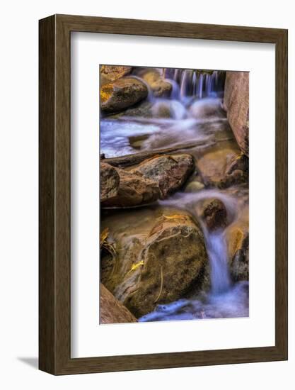 USA, Utah, Zion National Park. Rocks in Stream-Jay O'brien-Framed Photographic Print