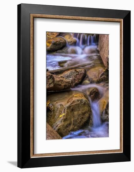 USA, Utah, Zion National Park. Rocks in Stream-Jay O'brien-Framed Photographic Print