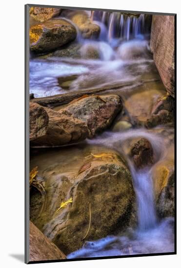 USA, Utah, Zion National Park. Rocks in Stream-Jay O'brien-Mounted Photographic Print