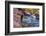 USA, Utah, Zion National Park. Stream in Autumn Landscape-Jay O'brien-Framed Photographic Print