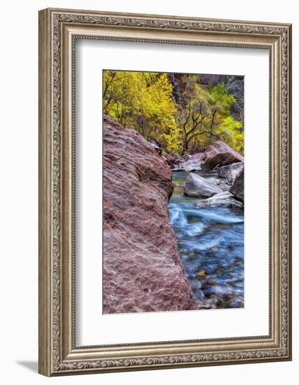 USA, Utah, Zion National Park. Stream in Autumn Landscape-Jay O'brien-Framed Photographic Print