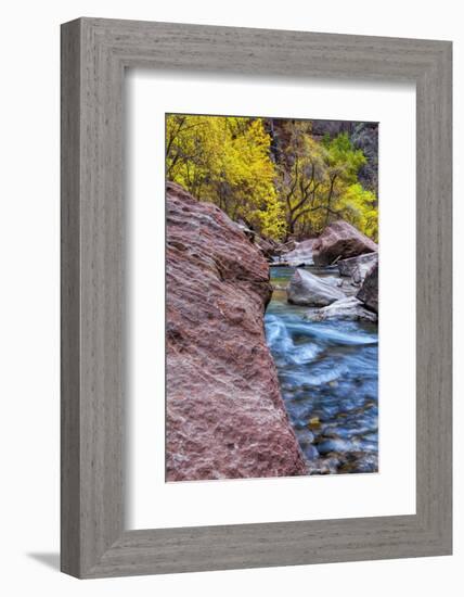 USA, Utah, Zion National Park. Stream in Autumn Landscape-Jay O'brien-Framed Photographic Print