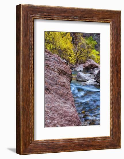 USA, Utah, Zion National Park. Stream in Autumn Landscape-Jay O'brien-Framed Photographic Print