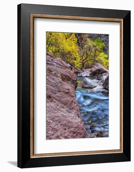 USA, Utah, Zion National Park. Stream in Autumn Landscape-Jay O'brien-Framed Photographic Print