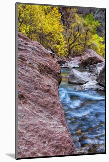 USA, Utah, Zion National Park. Stream in Autumn Landscape-Jay O'brien-Mounted Photographic Print