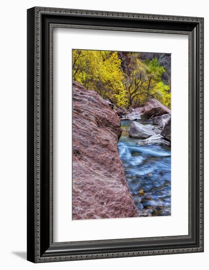 USA, Utah, Zion National Park. Stream in Autumn Landscape-Jay O'brien-Framed Photographic Print