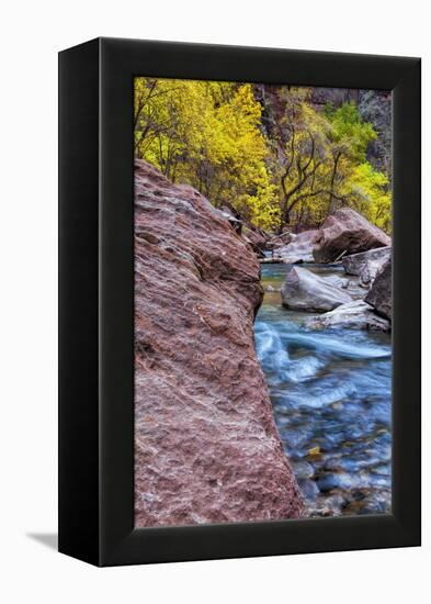 USA, Utah, Zion National Park. Stream in Autumn Landscape-Jay O'brien-Framed Premier Image Canvas