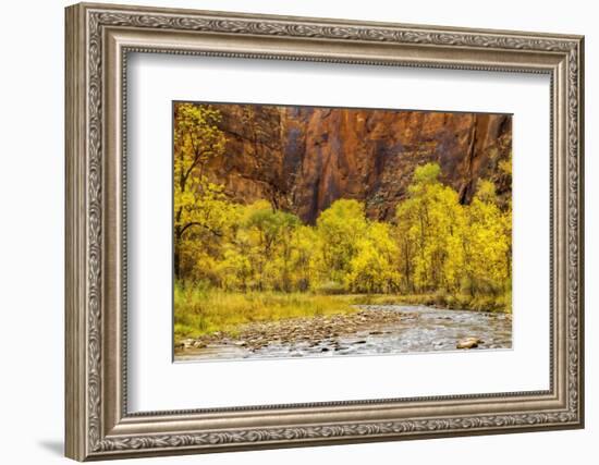 USA, Utah, Zion National Park. Stream in Autumn Landscape-Jay O'brien-Framed Photographic Print