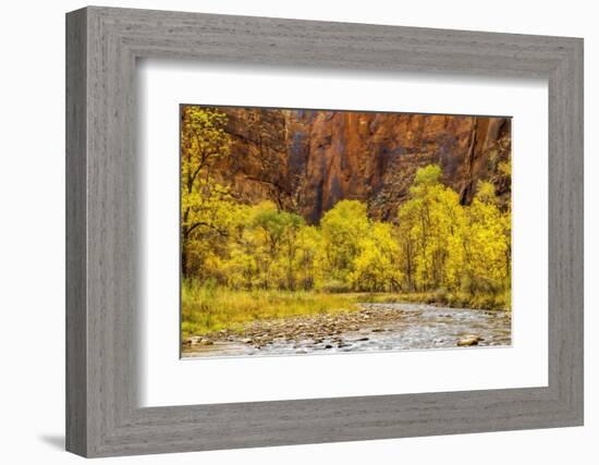 USA, Utah, Zion National Park. Stream in Autumn Landscape-Jay O'brien-Framed Photographic Print