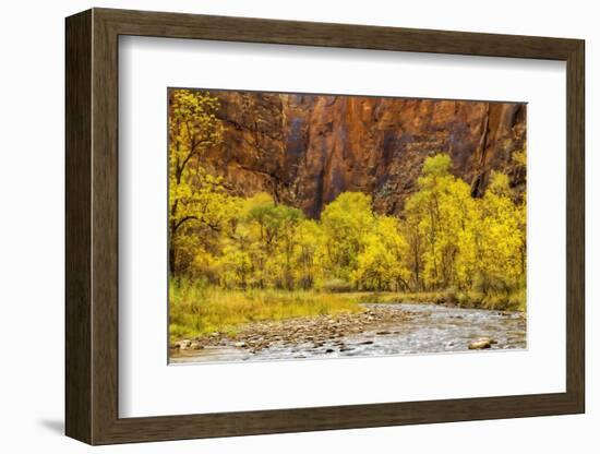 USA, Utah, Zion National Park. Stream in Autumn Landscape-Jay O'brien-Framed Photographic Print