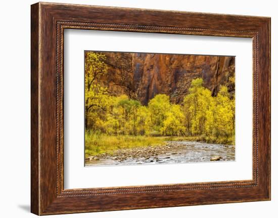 USA, Utah, Zion National Park. Stream in Autumn Landscape-Jay O'brien-Framed Photographic Print